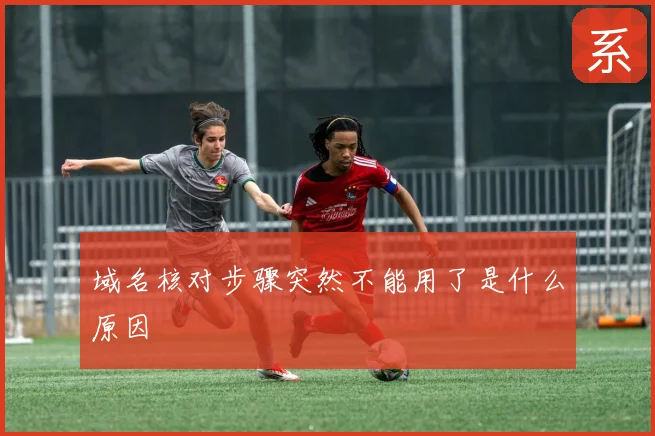 域名核对步骤突然不能用了是什么原因